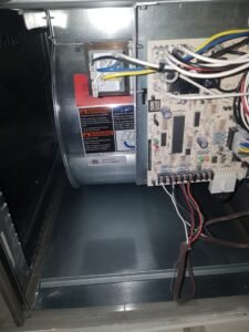 whatsapp image 2026 03 07 at 10.00.29 pm